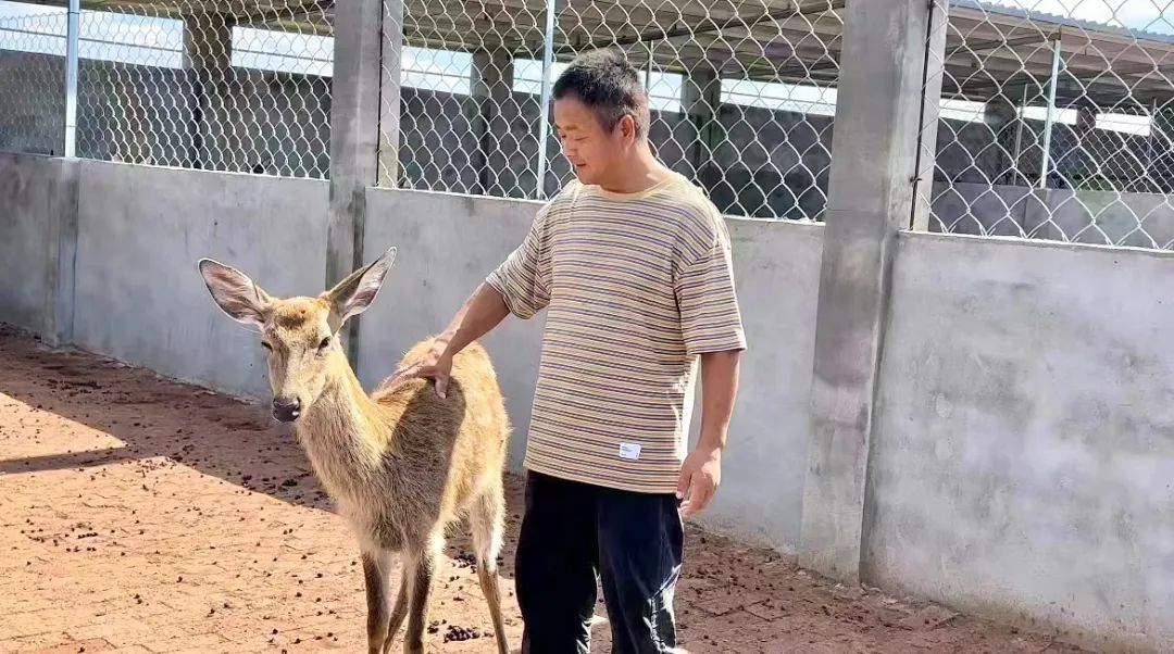 足球赌注网